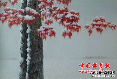 微信图片_20190128181322